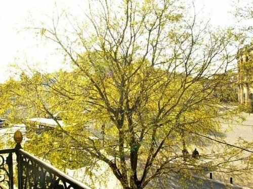 Гостиница Appart'hôtel Odalys Le Cheval Blanc в Ниме