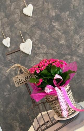 Фото Albergo Villa Edera