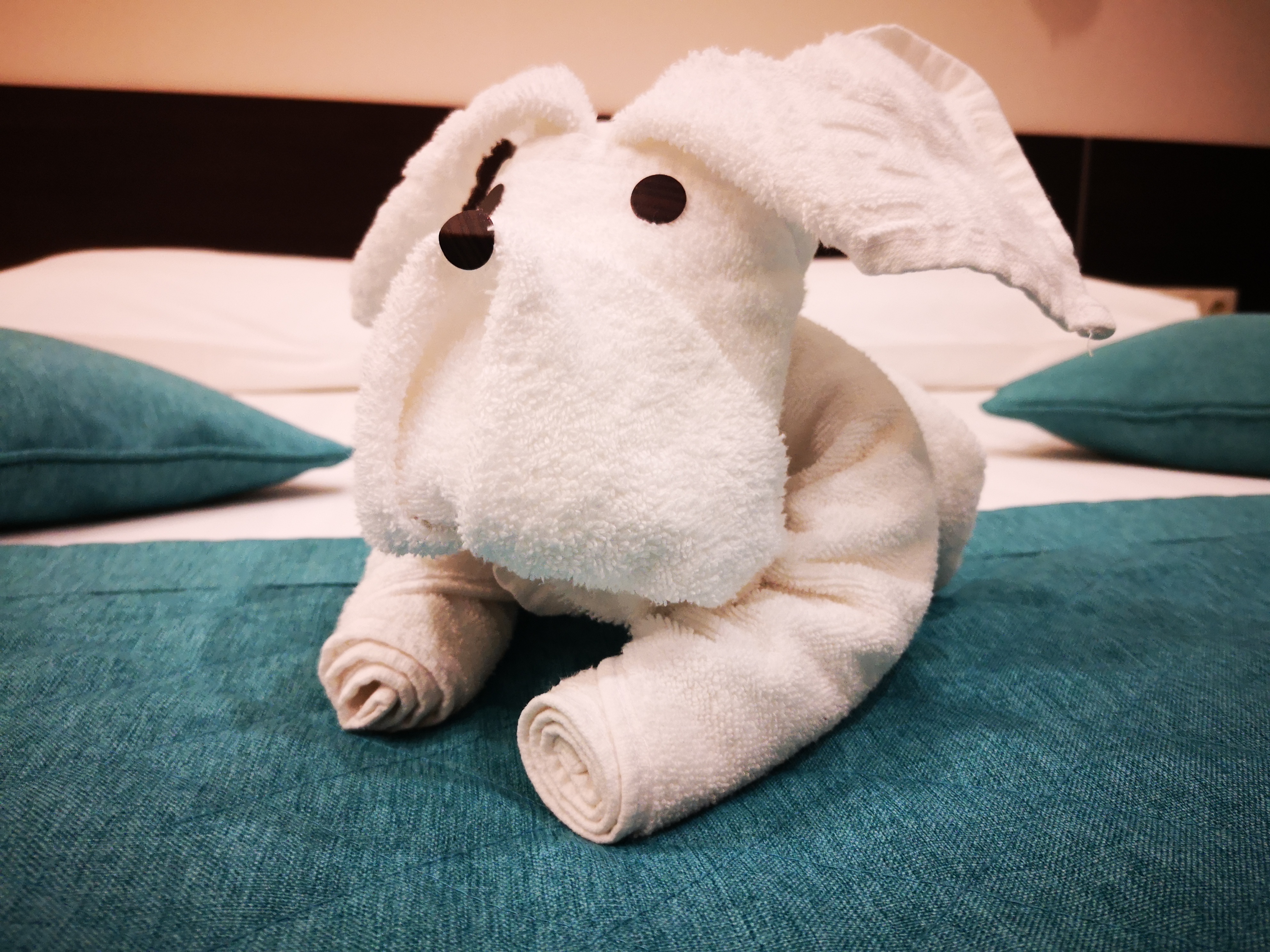 Фото Отель Браун