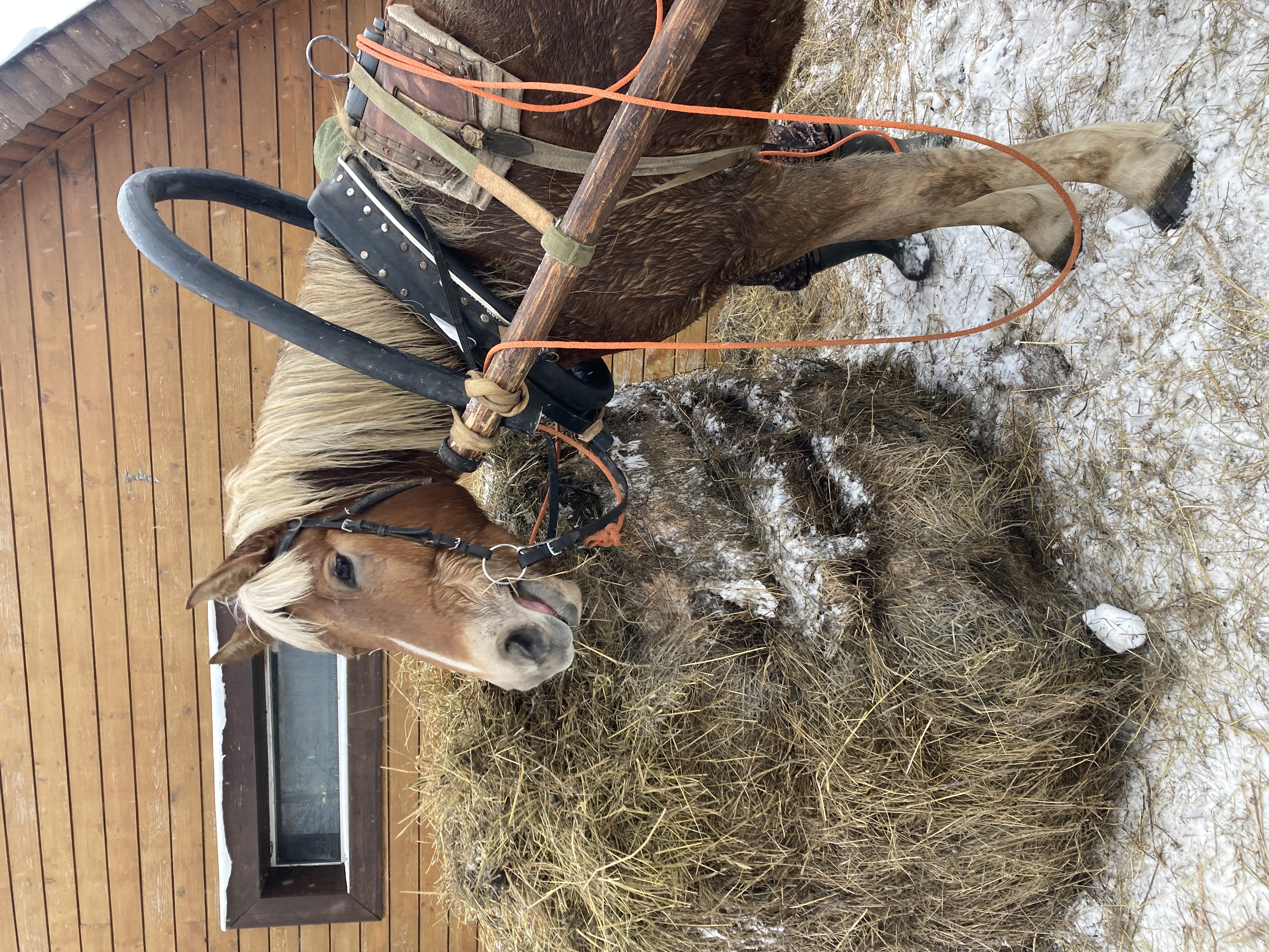 Фото Экокомплекс СДЛ