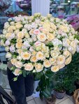 Madam_president_flowers (Кастанаевская ул., 16, корп. 1, Москва), магазин цветов в Москве