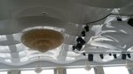 Estetic (Nursultan Nazarbaev dańǵyly, 41), ceiling systems