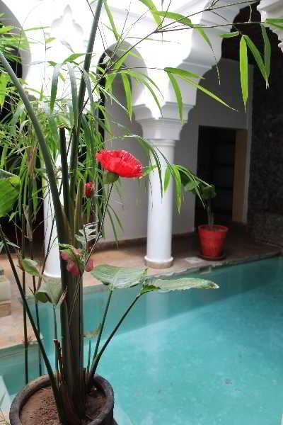 Фото Riad L'Orchidée & SPA