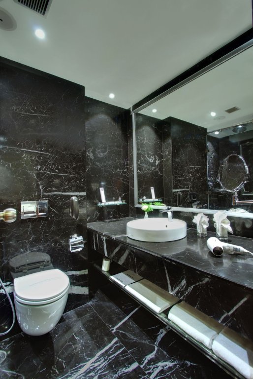 Фото Comfort Inn Insys