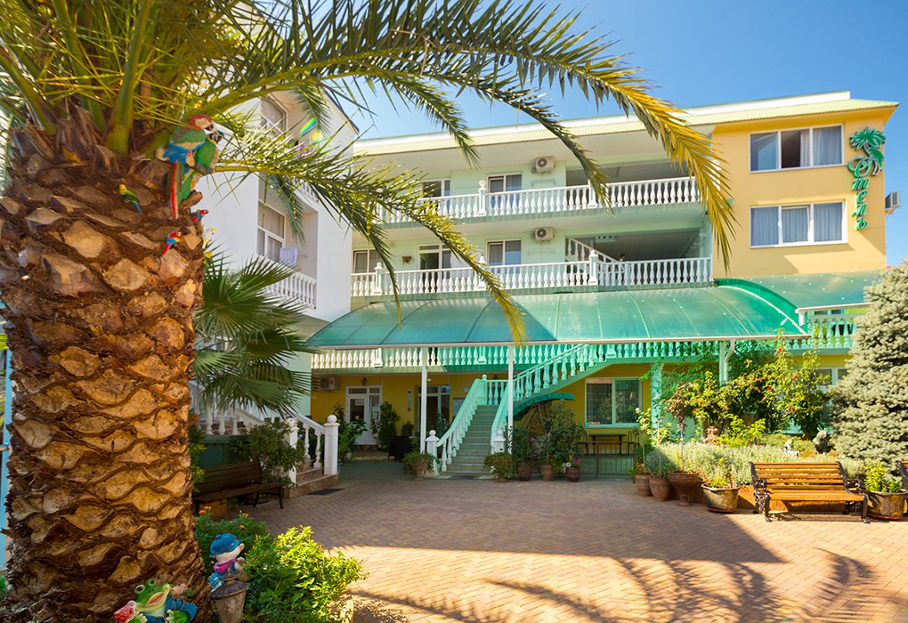 Фото Зелёный попугай