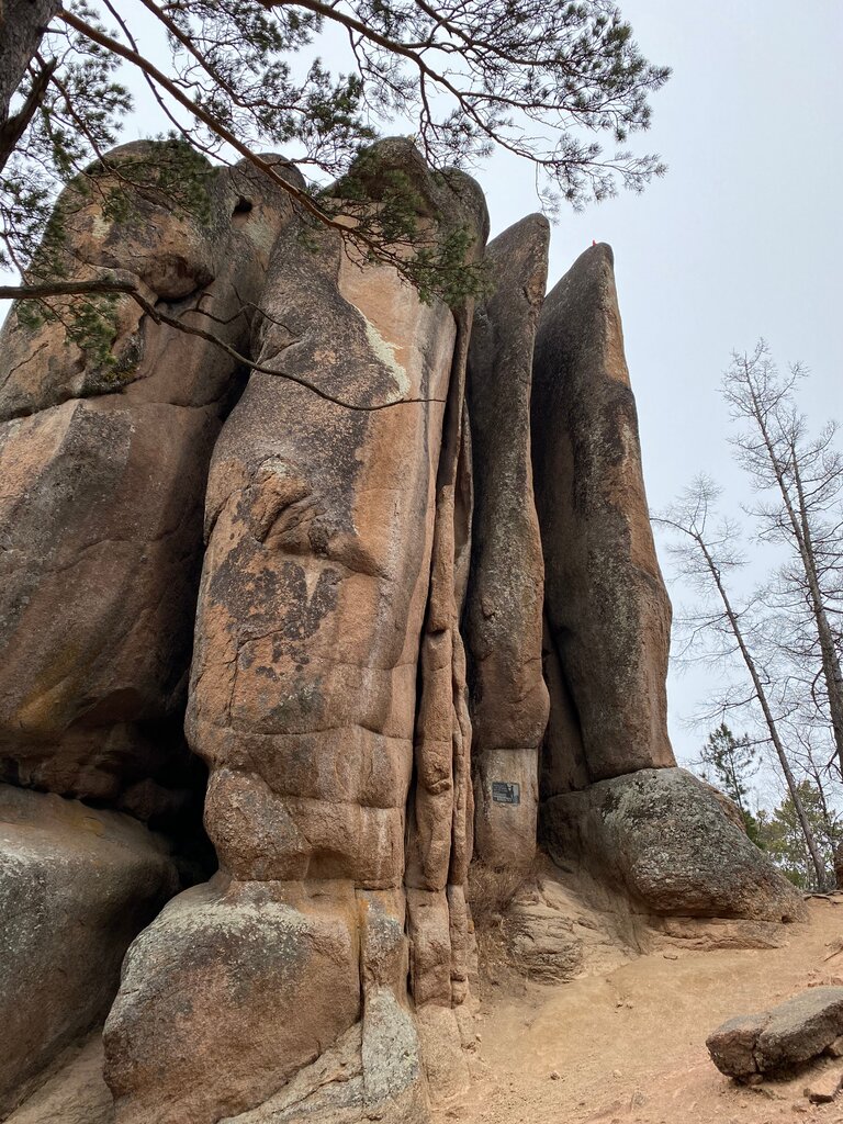 Oficina de organización National Park Krasnoyarskie Stolby, , foto