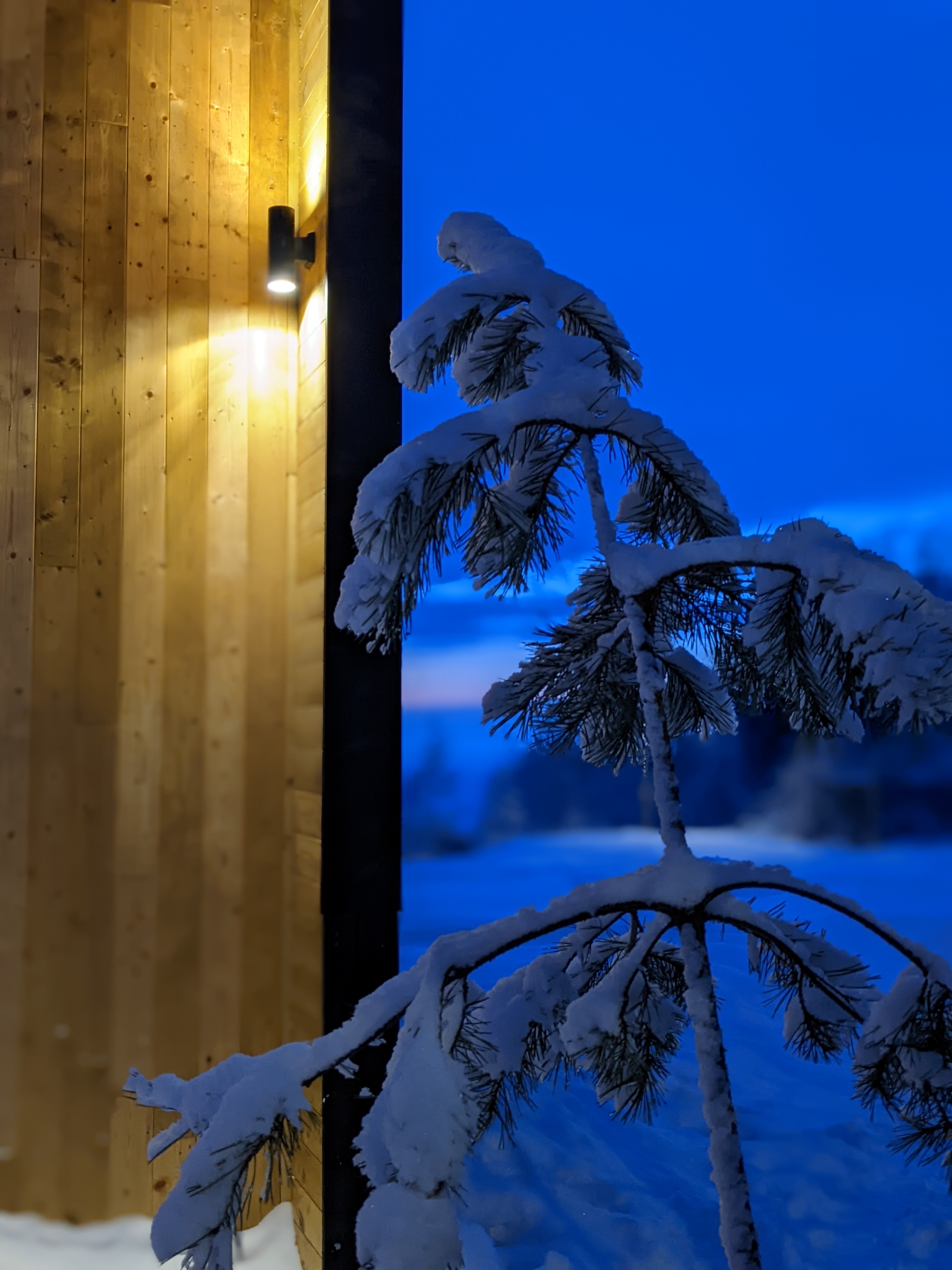 Фото Aldi Karelia