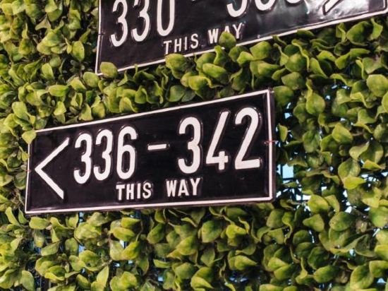 Фото All Nite And Day Veteran