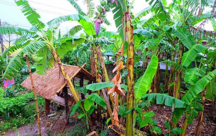 Фото Wowtawan Homestay