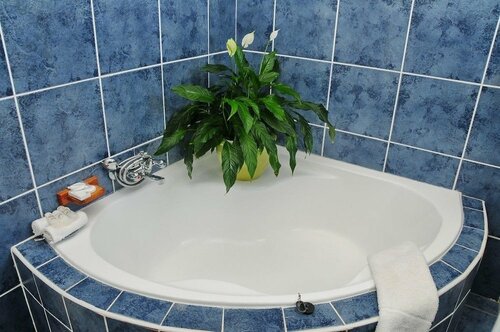 Внешний вид отеля Benri B&b в Гонуби, фото 4