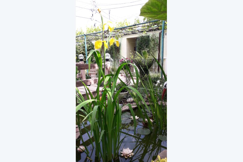 Фото Зелёный дворик