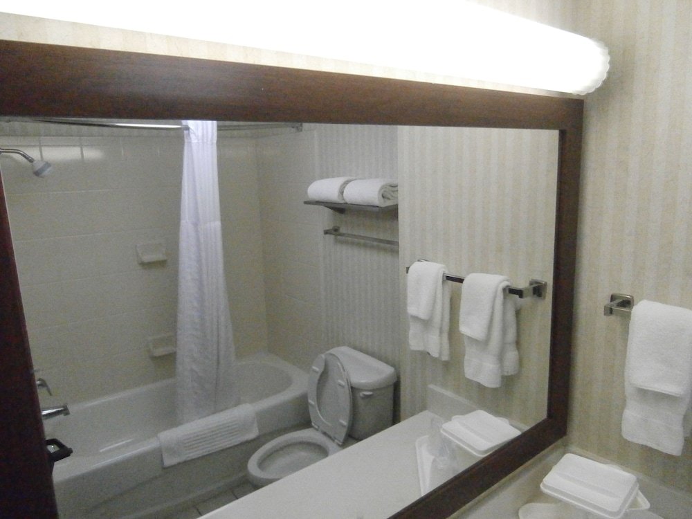 Фото Comfort Inn & Suites Airport