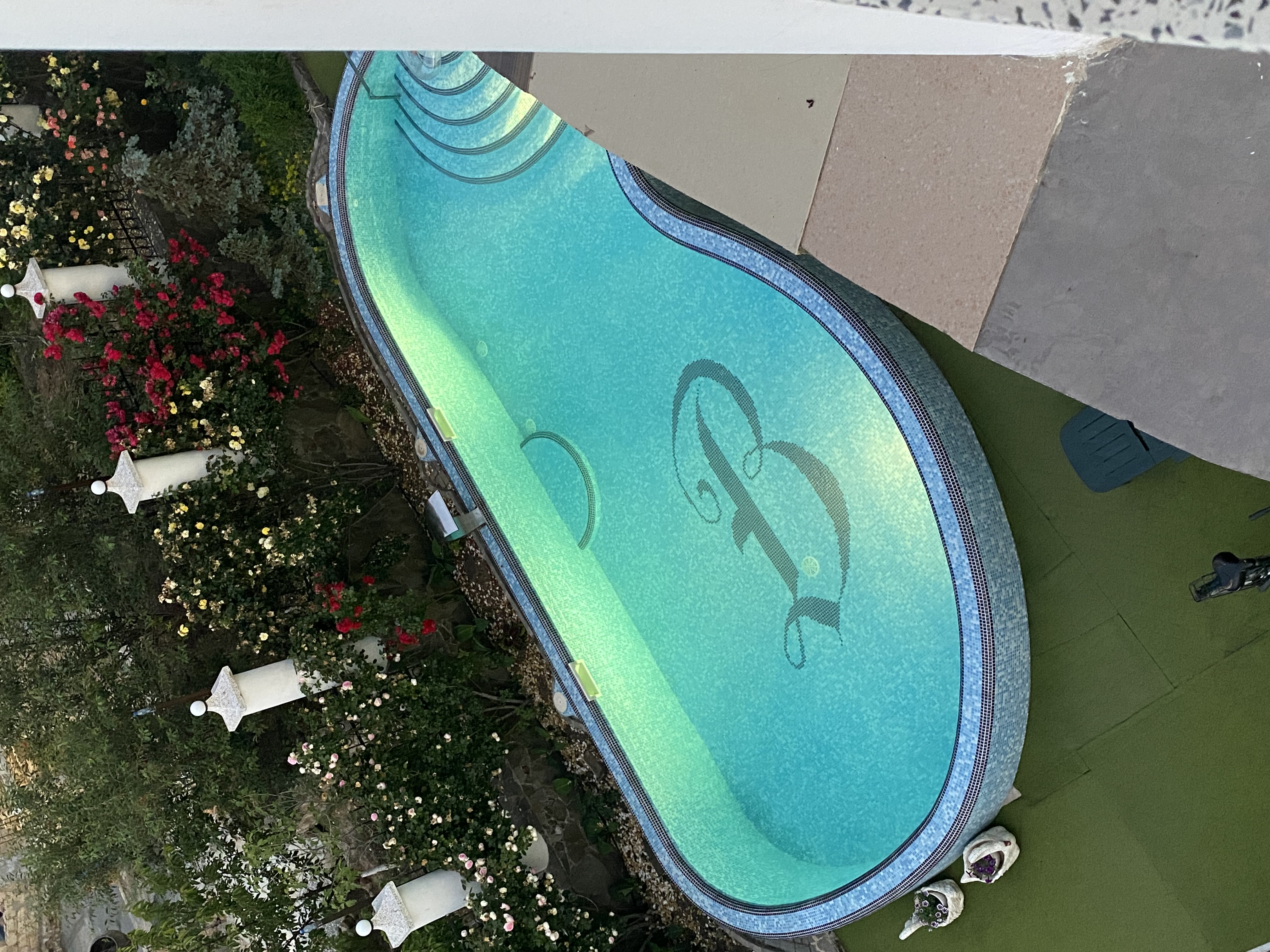 Фото Виренея