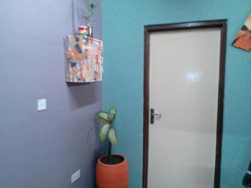 Фото Feehi's Place