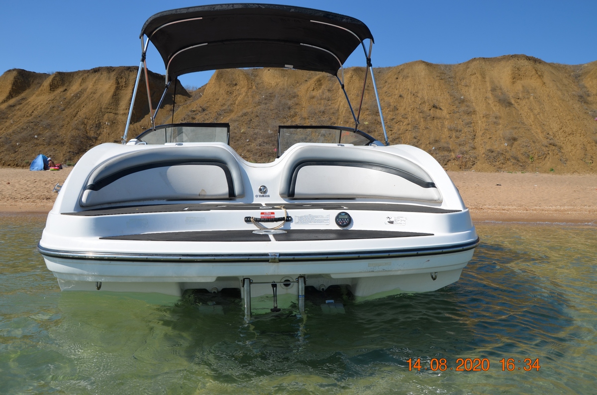 Фото Белая акация