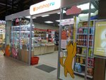 Petshop.ru (1-я Красноармейская ул., 15, Санкт-Петербург), зоомагазин в Санкт‑Петербурге