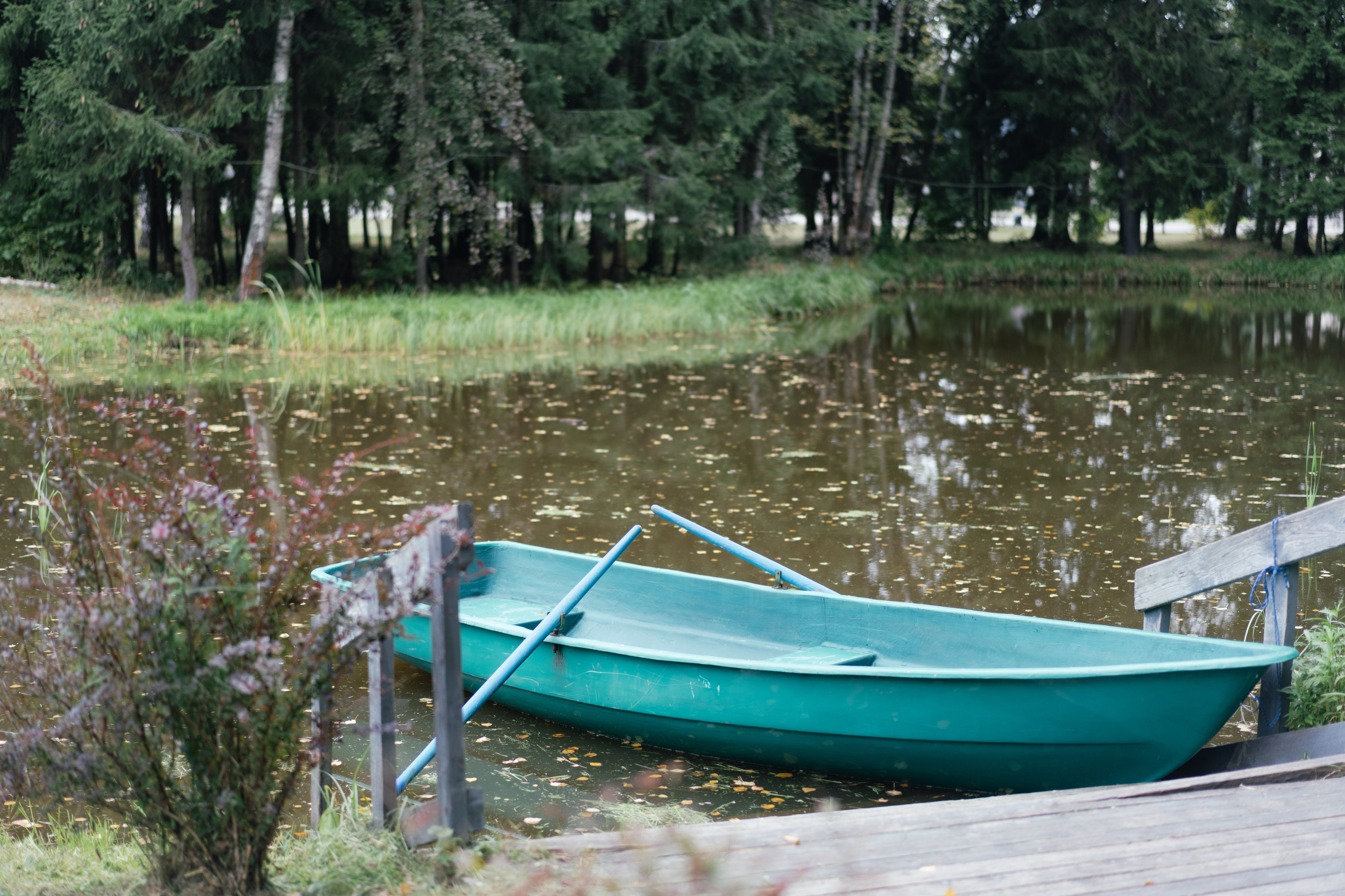 Фото Лафер Ренессанс