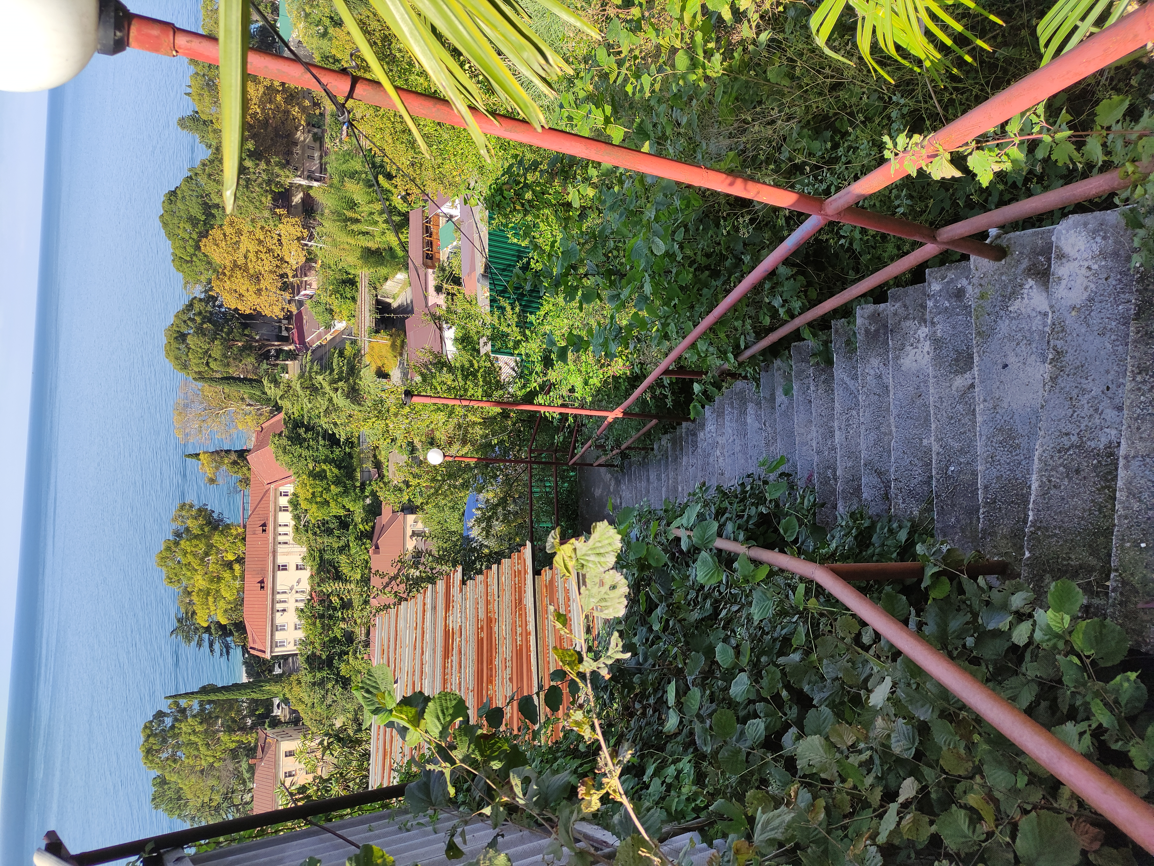 Фото Сказка