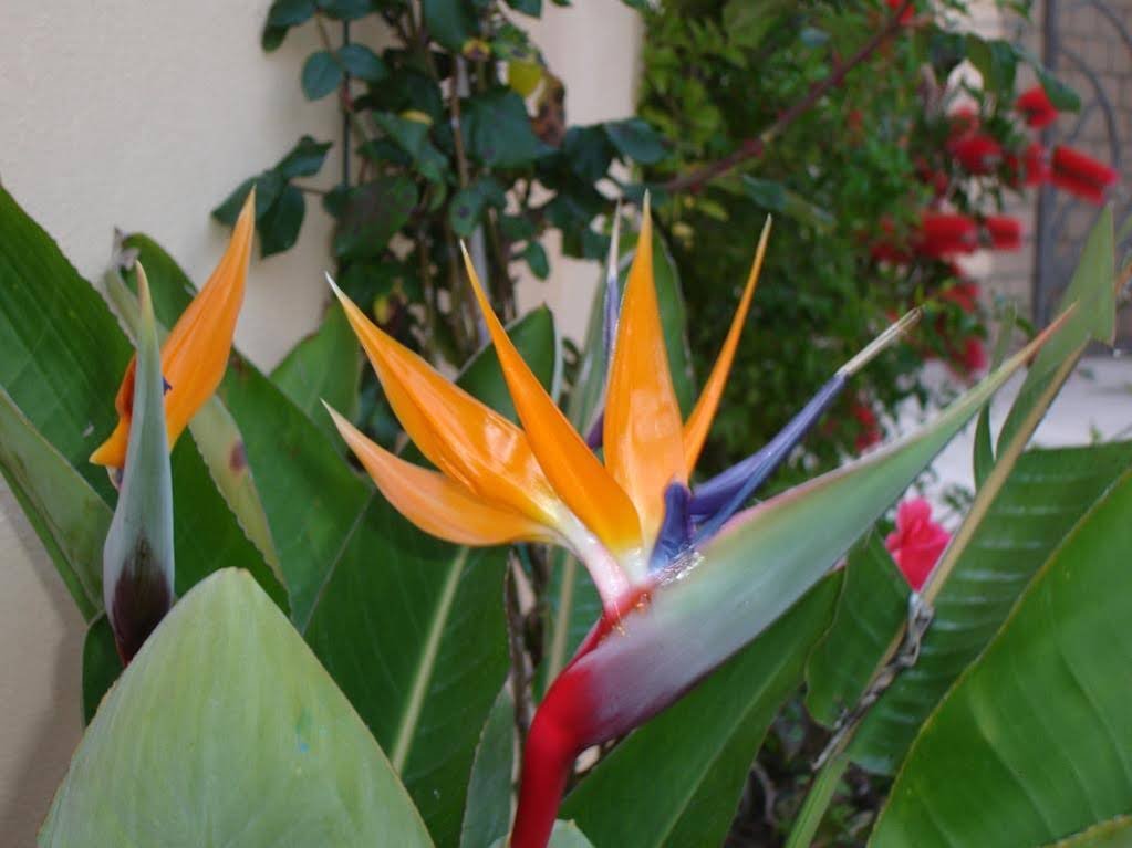 Фото Baia degli Aranci