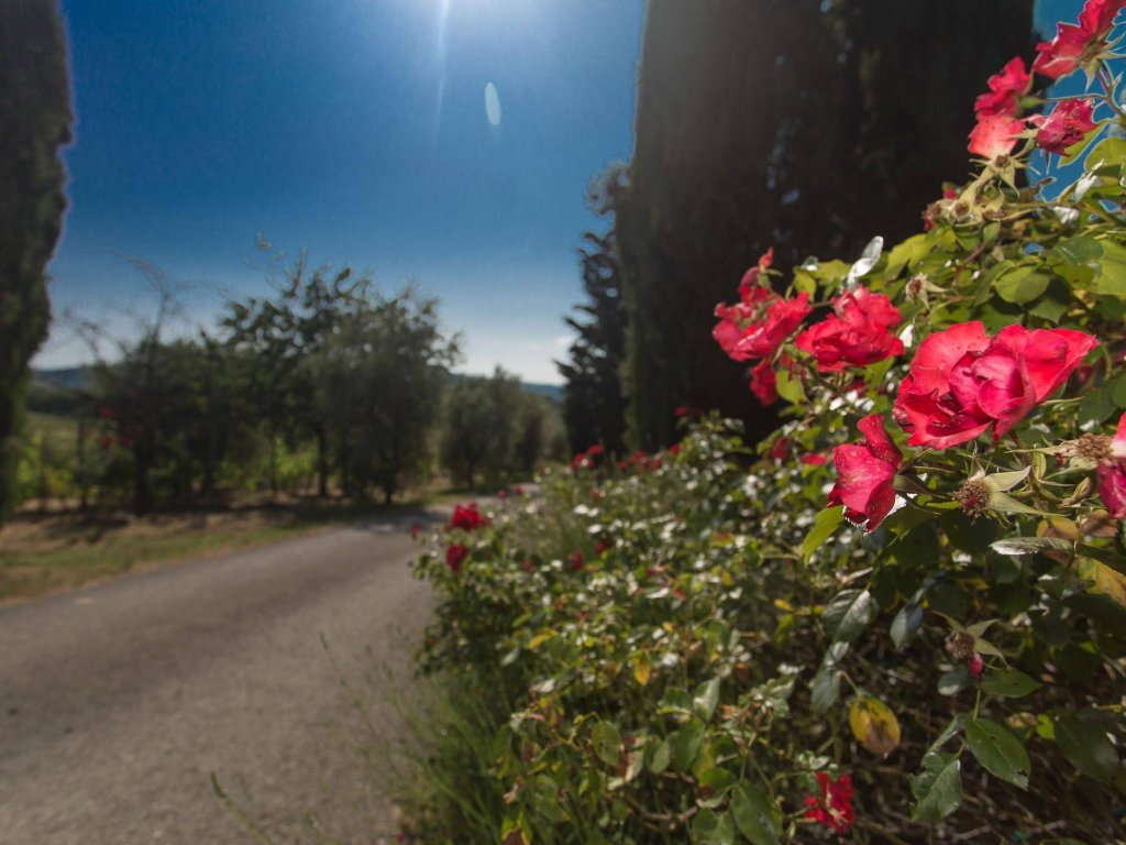 Фото Relais Santa Cristina