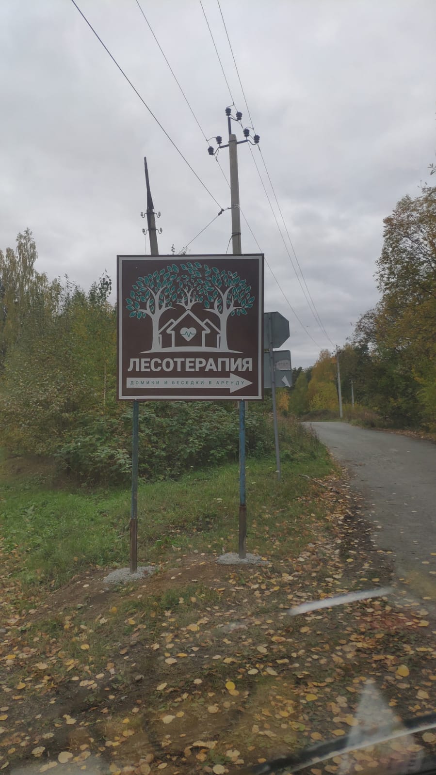 Фото Лесотерапия