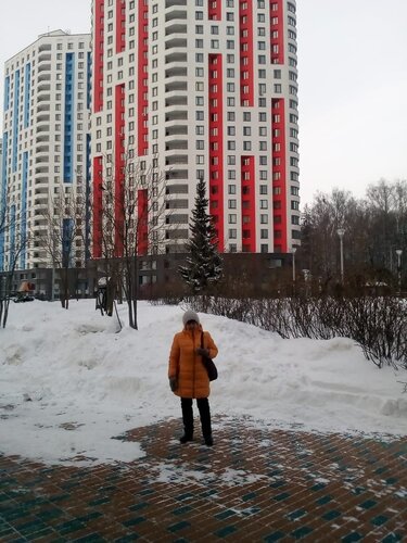 Офис организации Велтон Парк, Москва и Московская область, фото