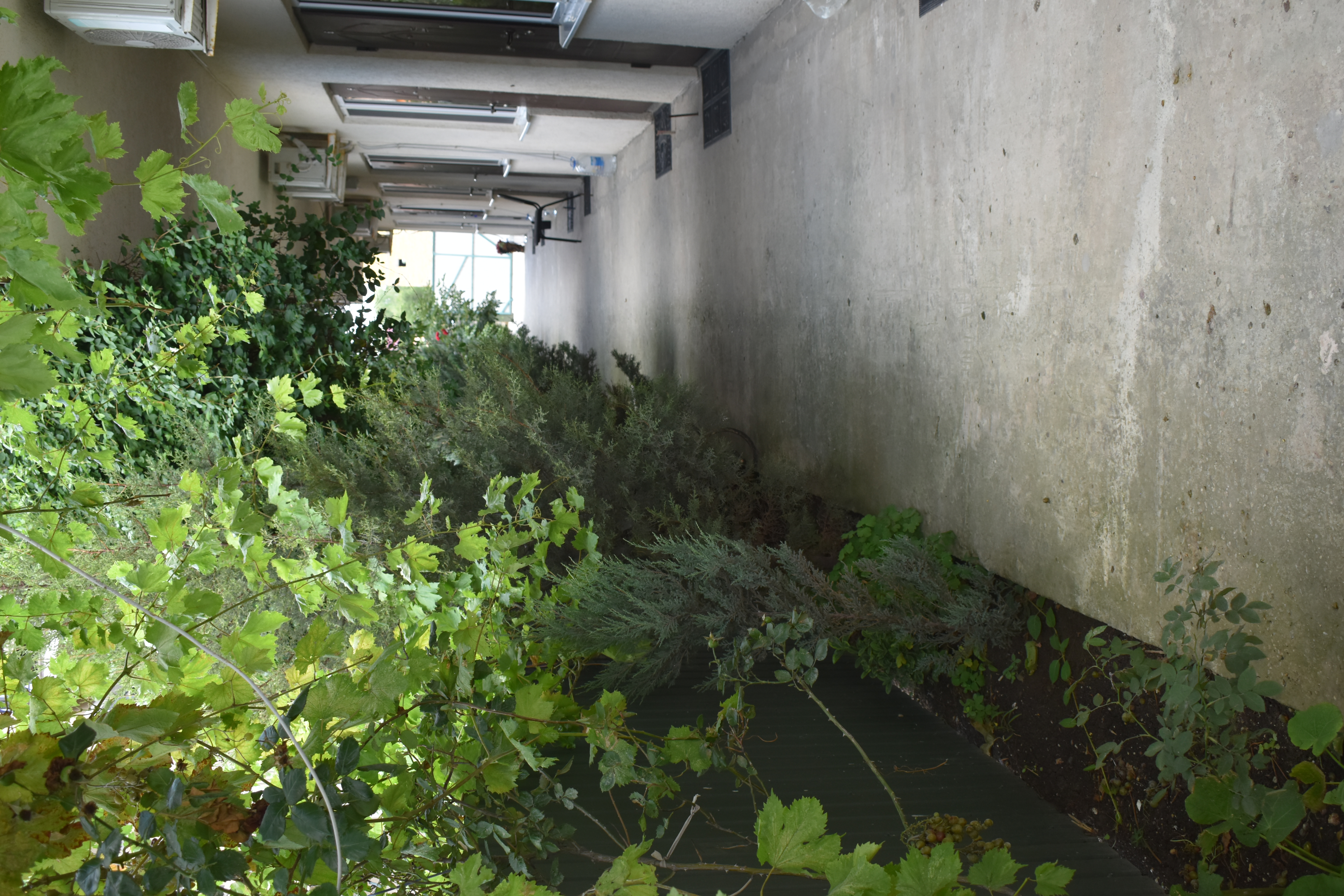 Фото Гринвич