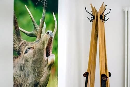 Фото Hotel Jägerheim