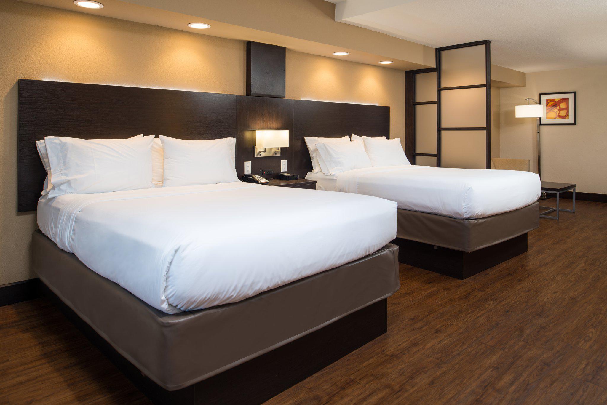 Фото Holiday Inn Express & Suites San Antonio Medical-Six Flags, an Ihg Hotel