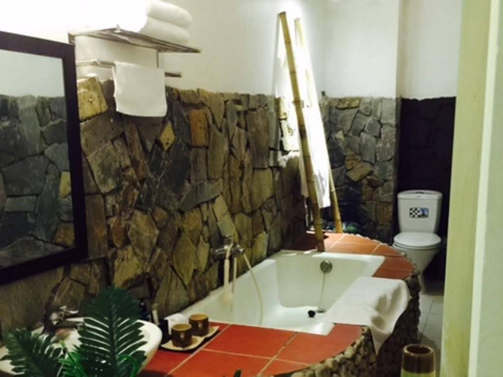 Фото Gecko Hotel