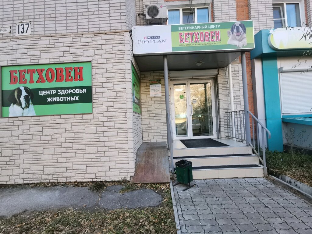 Veterinary clinic Betkhoven, Khabarovsk, photo