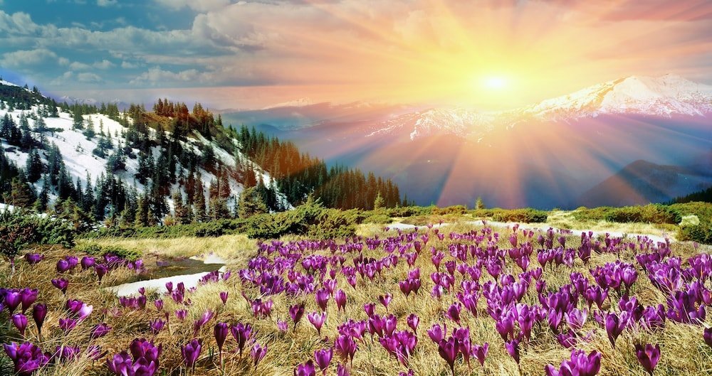 Фото Choice Mountain-view New-build W Private Garage 3 Bedroom Home