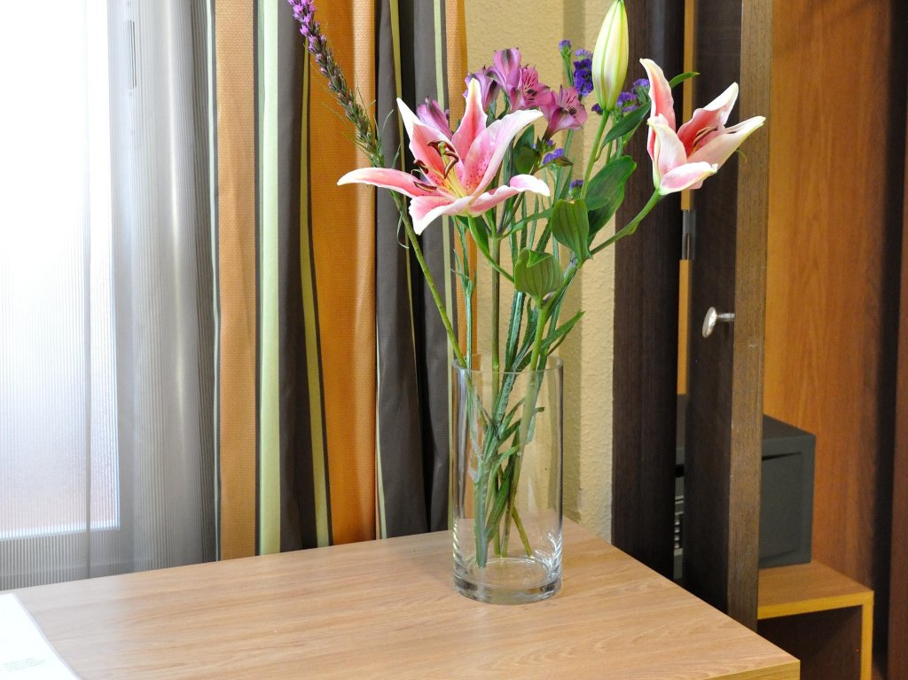 Фото Hostal Ballesta