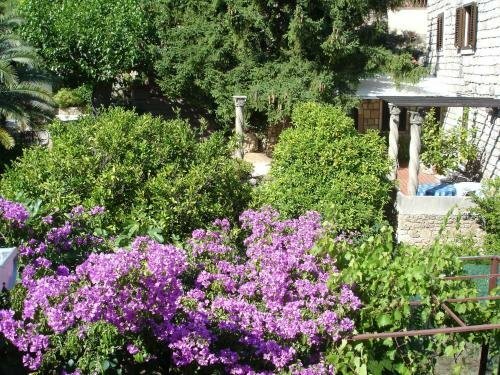 Гостиница Villa Fede в Млинях