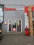 Krasnoe&Beloe (Galkina Street, 3) ، محل بقالة