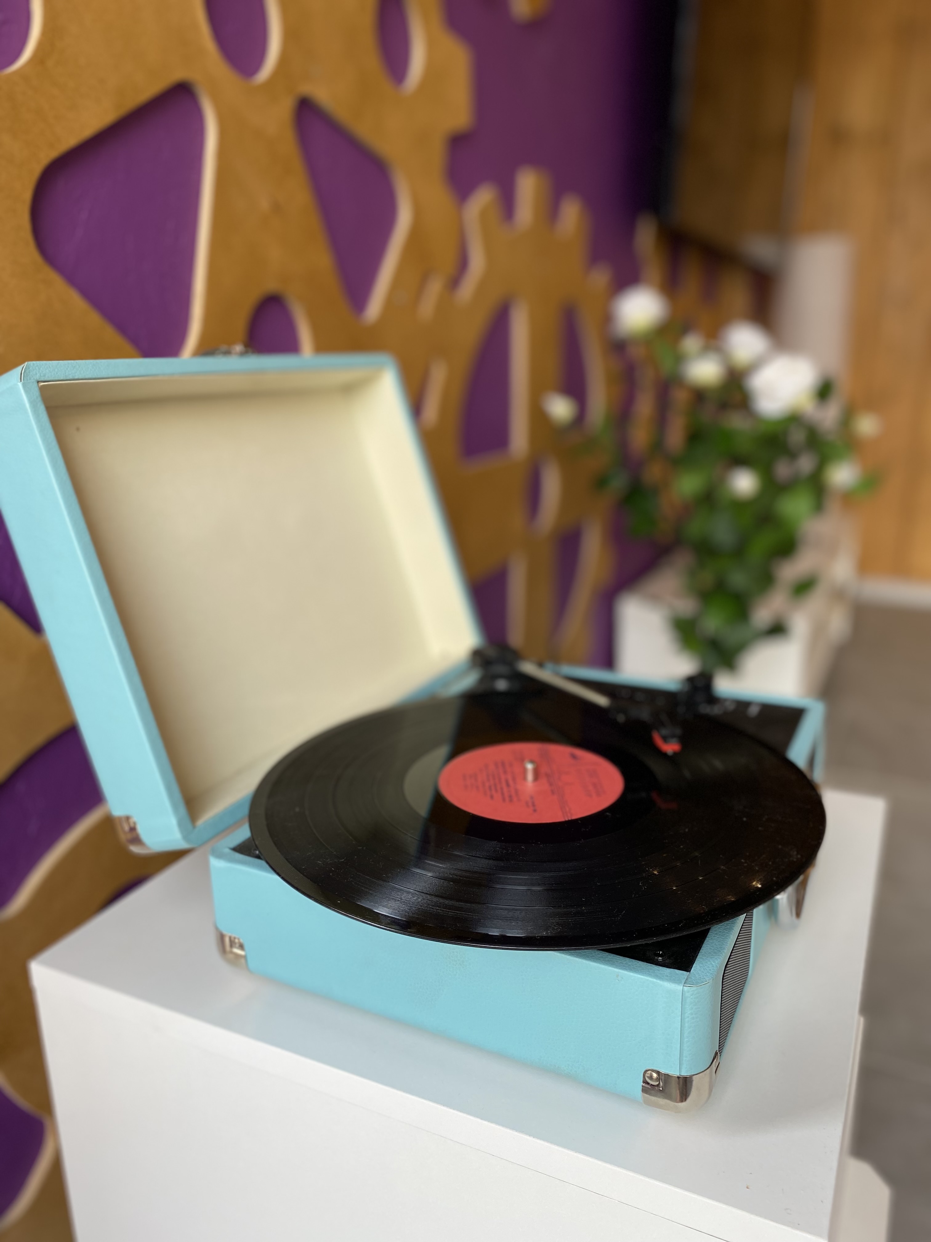 Фото Белый Кролик