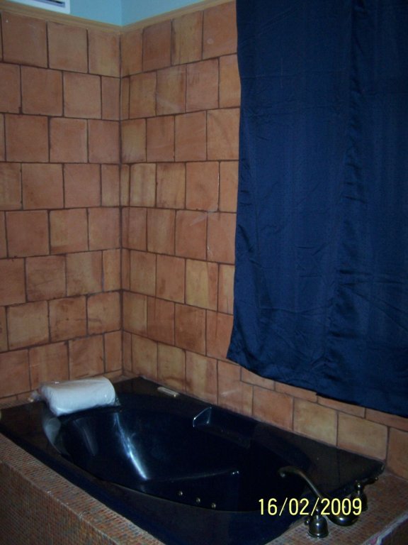 Фото Oakview Bed and Breakfast