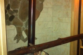 Фото Курочка Ряба