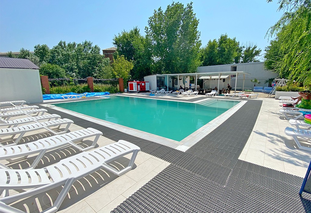 Фото Дублин Дельфин