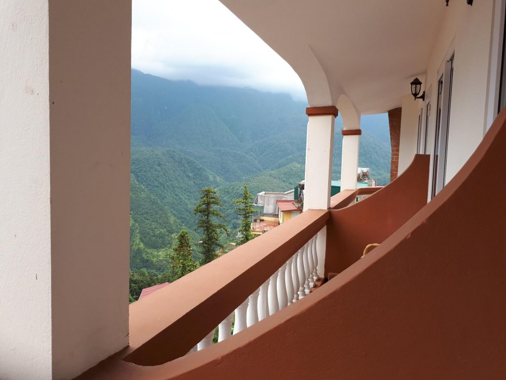 Фото Cat Cat View