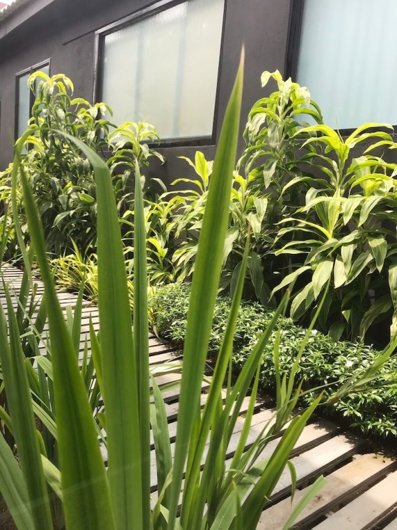 Фото Beds In Garden Hostel Sdn Bhd