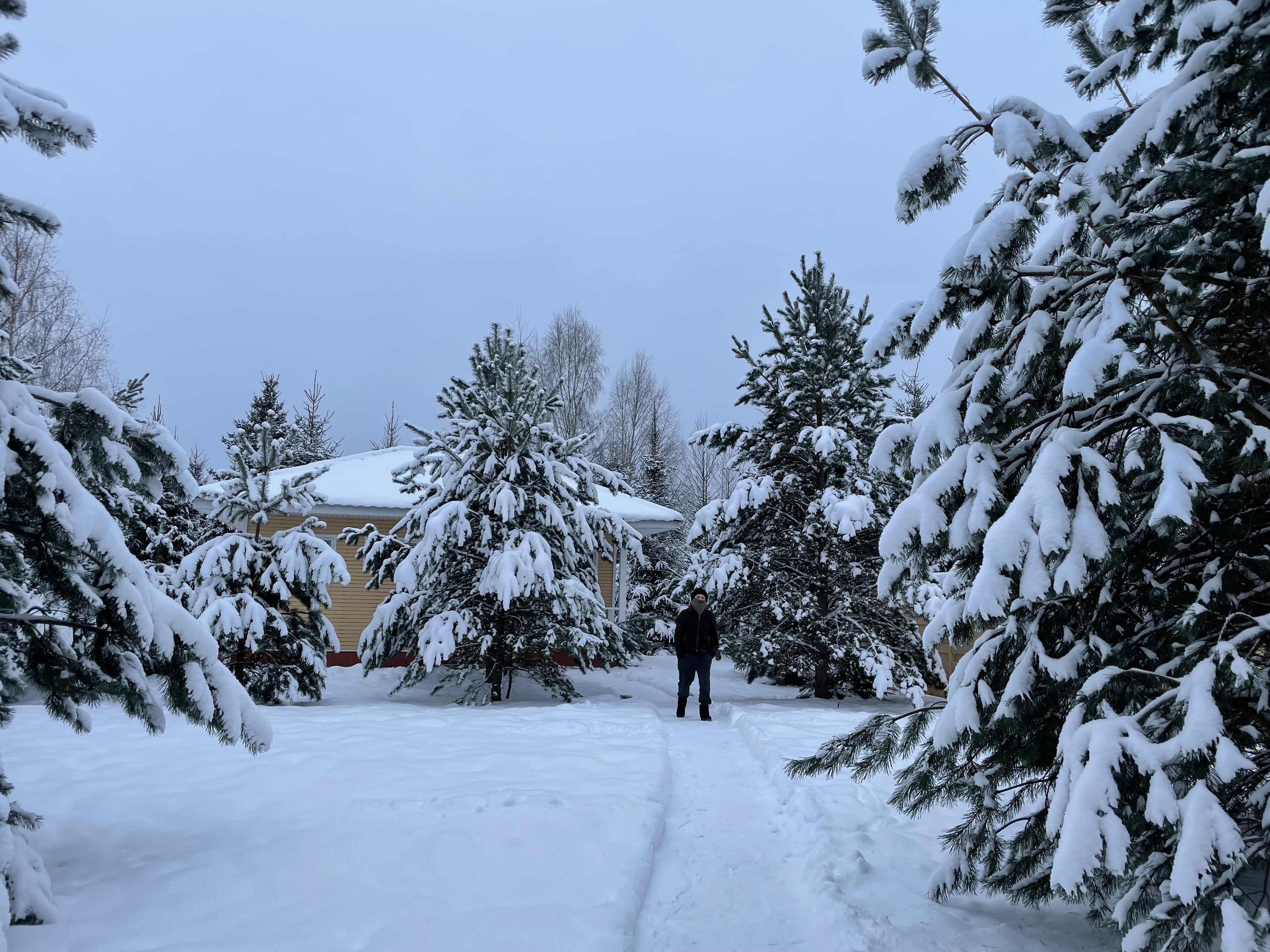 Фото Деревенька в лесу