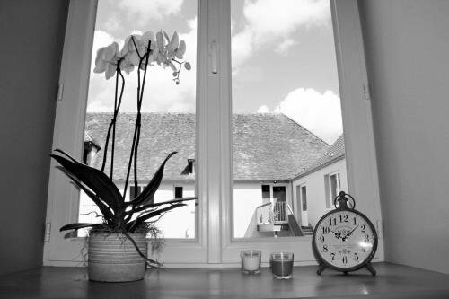 Гостиница H& xF4; tel du Lion d'Or в Шароле