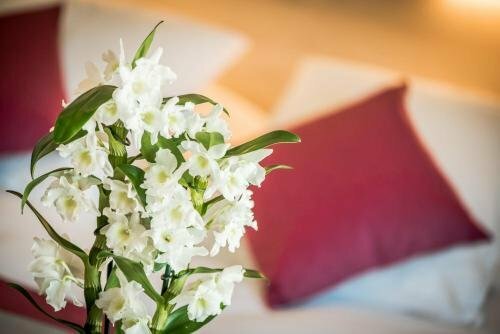 Гостиница Hotel du Grand Parc в Же