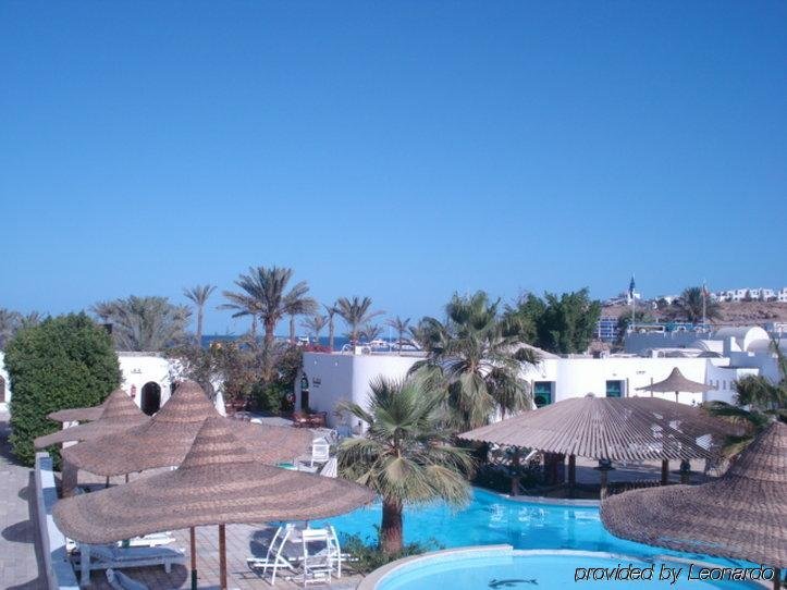 Фото Alice Vitoria by Nobile