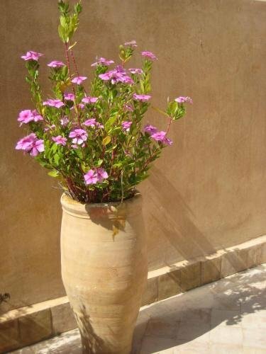 Внешний вид отеля Dar Houdou в Фесе, фото 3