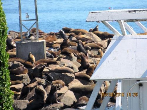 Фото The Waldport Inn