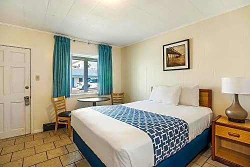 Фото Dolphin Oceanfront Motel