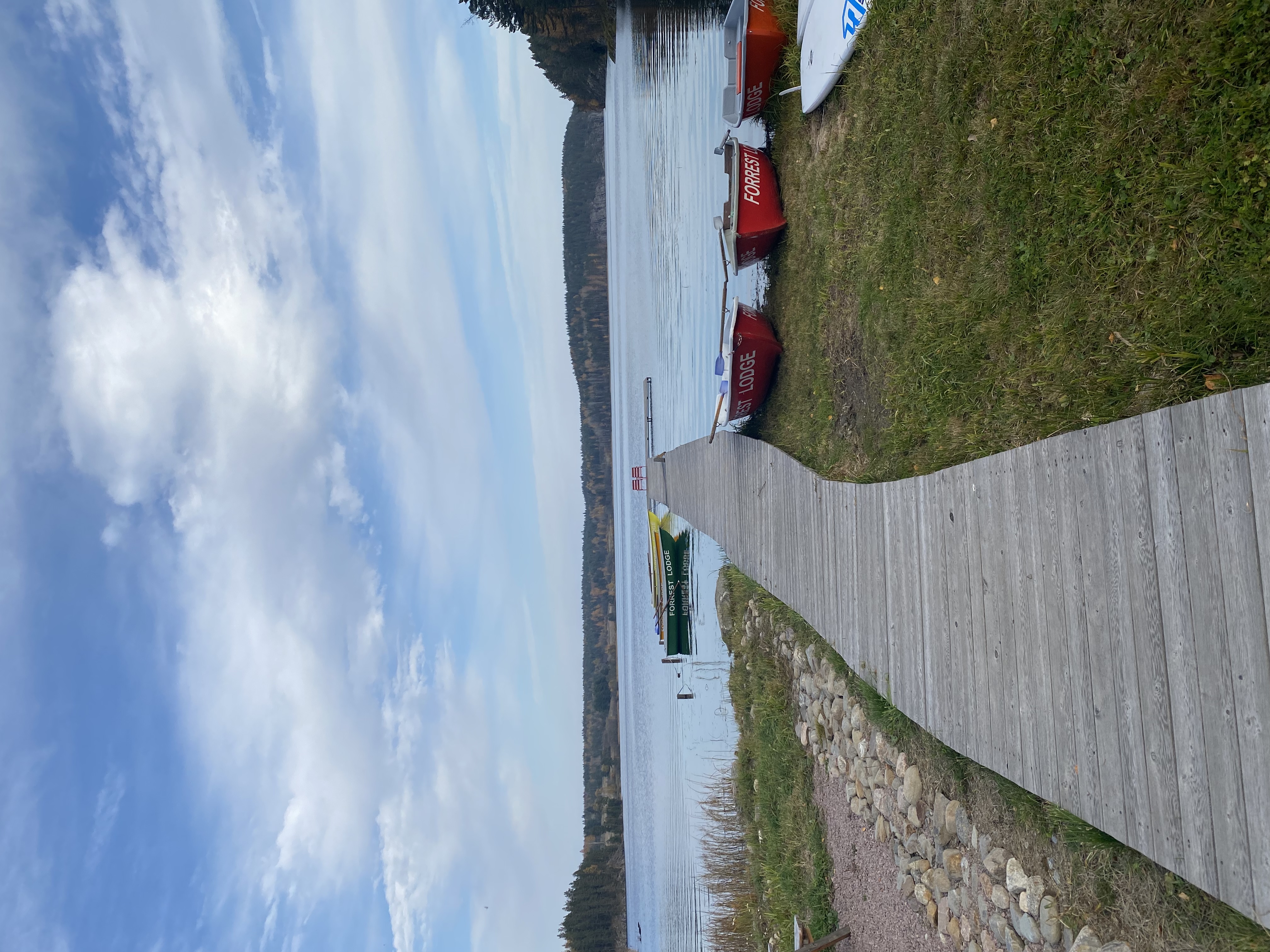 Фото Forrest Lodge Karelia