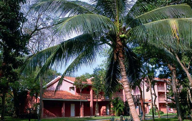 Фото Hotel Riu Lupita 